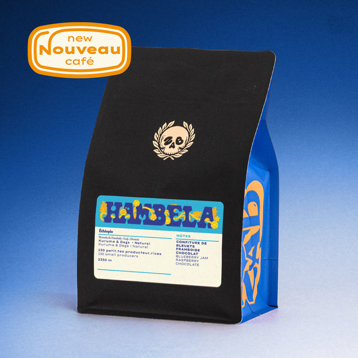 ETHIOPIA - HAMBELA
