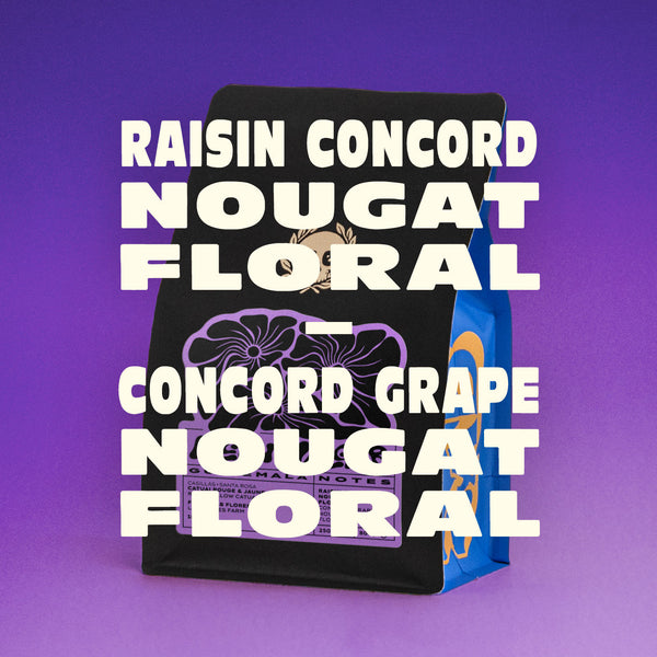 GUATEMALA - ALLAN MELGAR