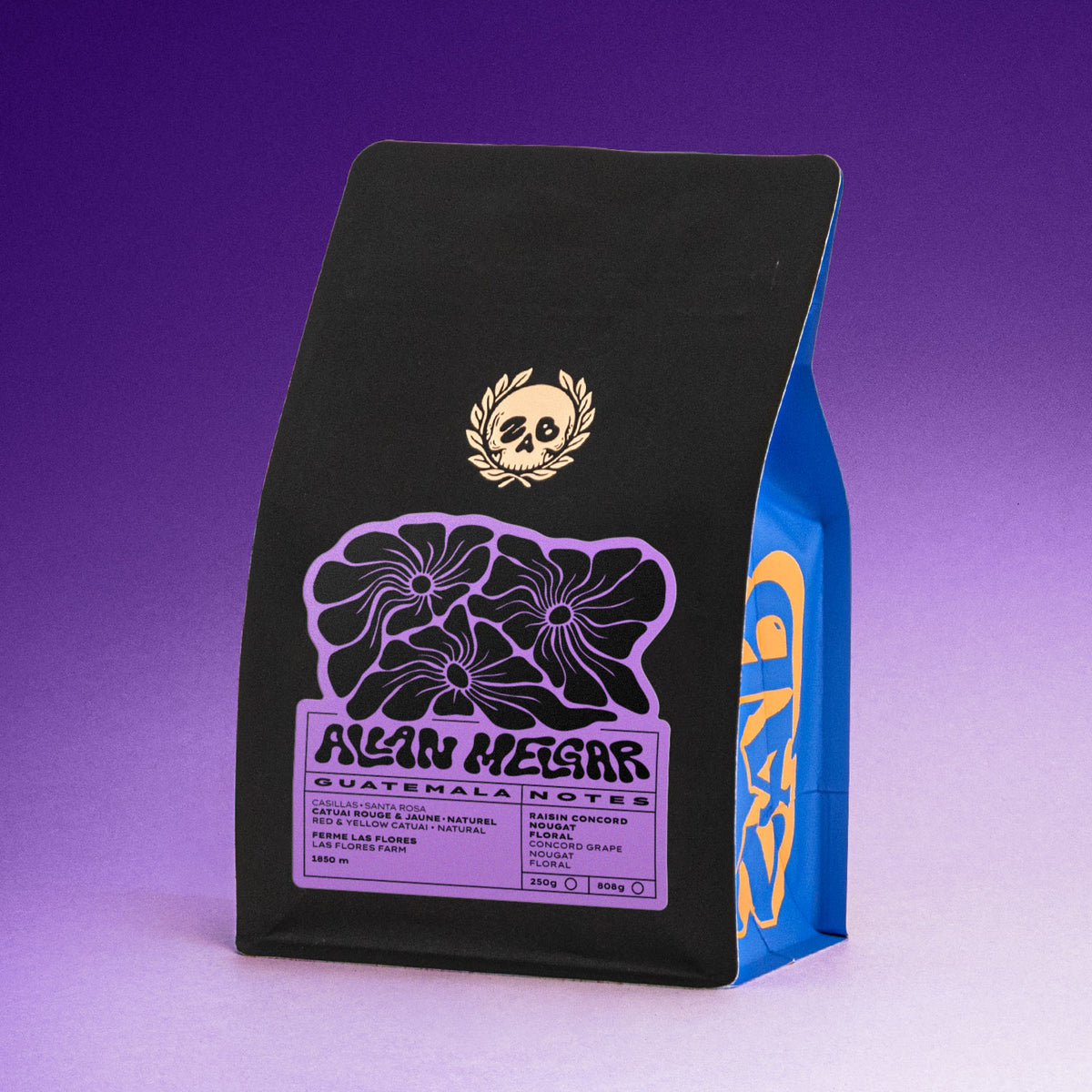 GUATEMALA - ALLAN MELGAR