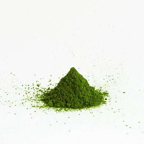 MATCHA SASAMEYUKI - ASAP