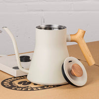 FELLOW - Stagg EKG pro - Bouilloire Electrique 900ml