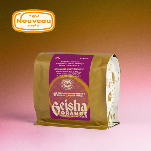 COLOMBIE - EDINSON ARGOTE GEISHA ORANGE