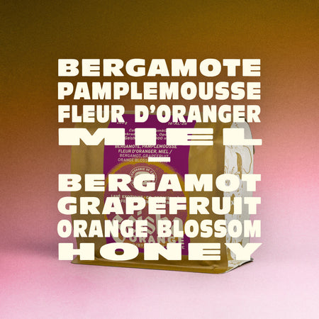 COLOMBIE - EDINSON ARGOTE GEISHA ORANGE