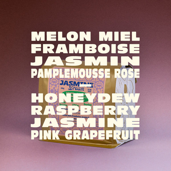 COLOMBIE - JASMINE DREAM