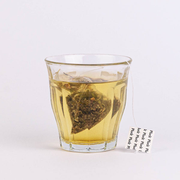 PLUCK TEA - Thé vert gingembre et citron