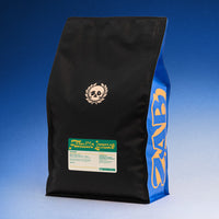 GUATEMALA - FAMILLE LEMUS