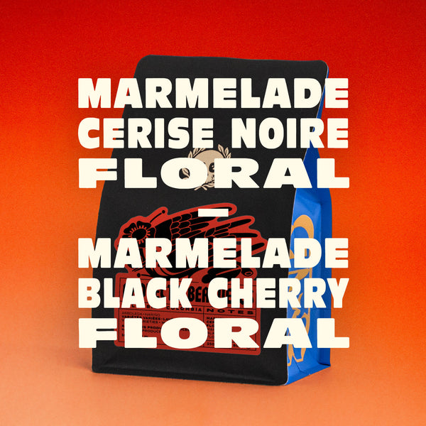 COLOMBIE - PROYECTO BERRUECOS