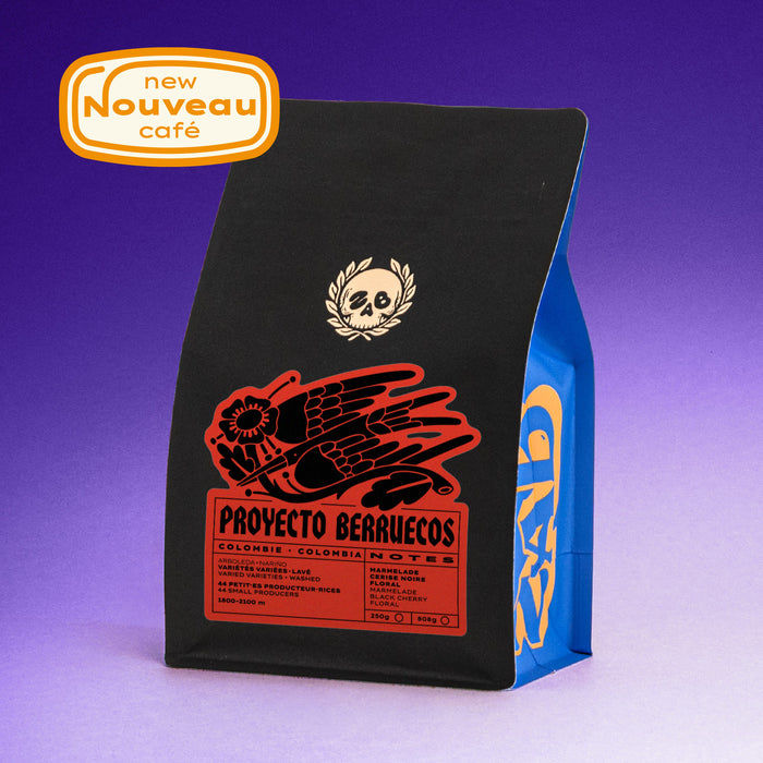 COLOMBIE - PROYECTO BERRUECOS