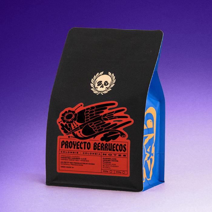 COLOMBIE - PROYECTO BERRUECOS