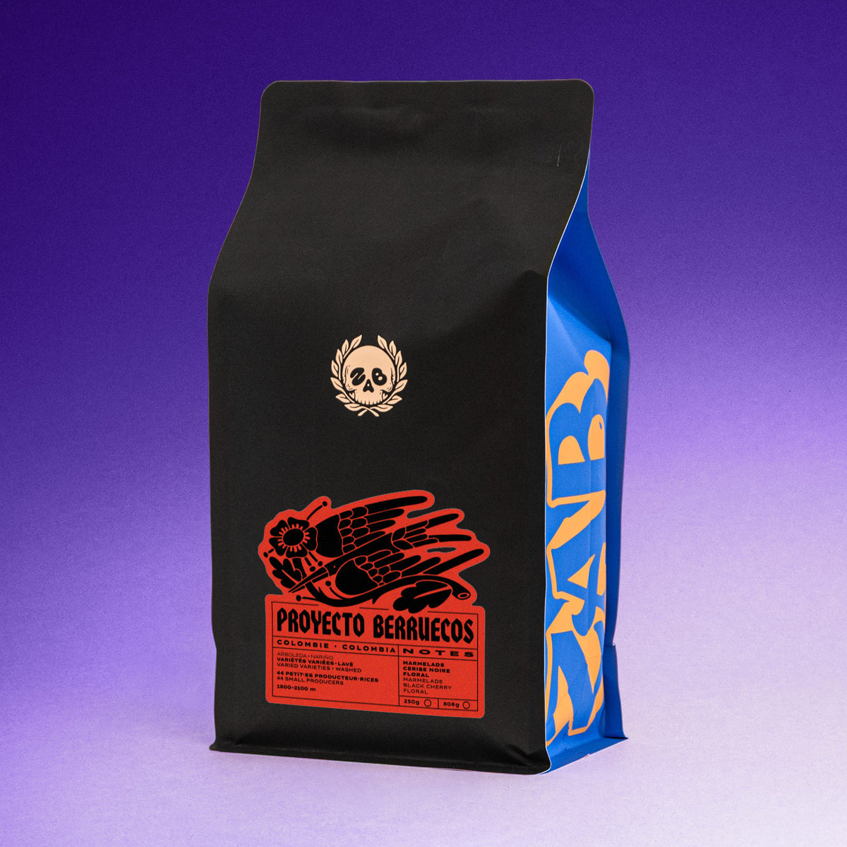 COLOMBIE - PROYECTO BERRUECOS