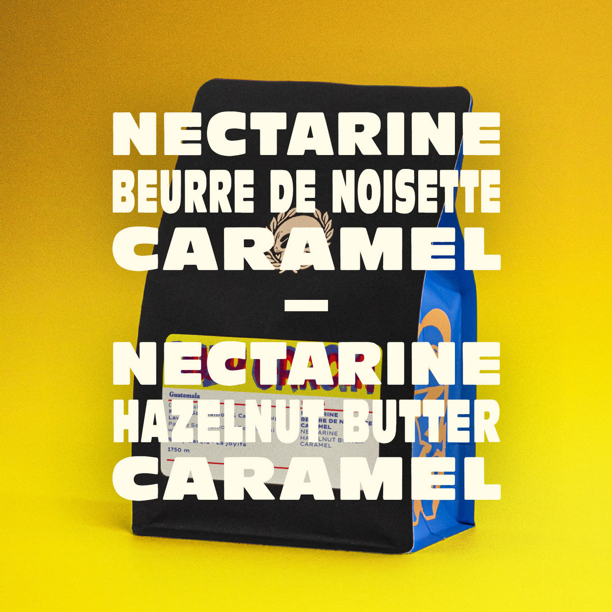 GUATEMALA - RUDY GARCIA