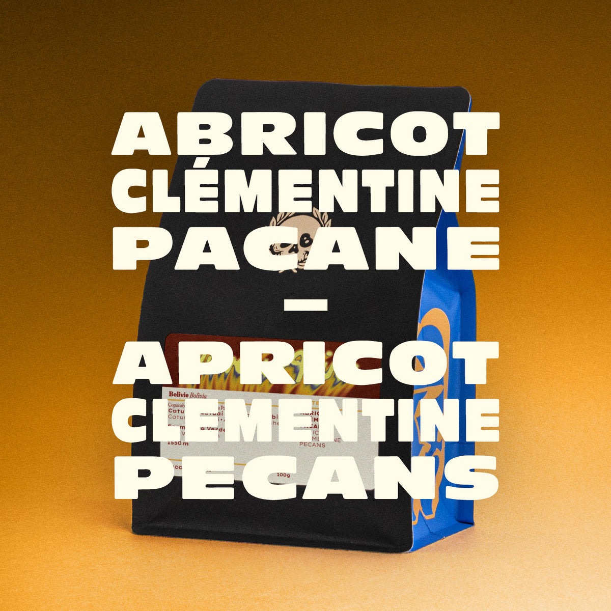 BOLIVIA -SILVERIO NINA