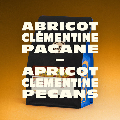 BOLIVIE - SILVERIO NINA